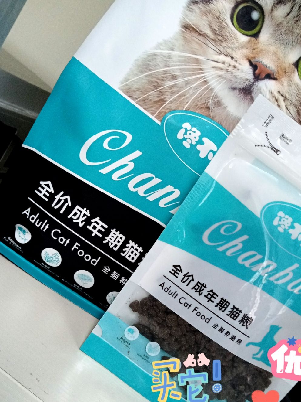 猫粮什么牌子好？国产猫粮：高蛋白的性价比猫粮推荐！