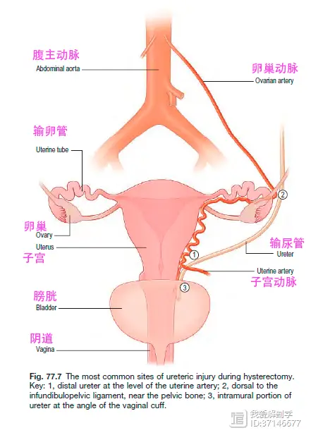 _卵巢囊肿怎么治疗效果好_卵巢早衰的现象有哪些